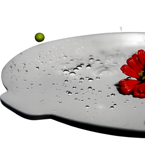 گرانیت به من نچسب